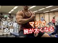 たった10分で腕がパンパンになる腕トレスーパーセット法!
