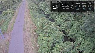 東幹川 国道244付近 河川監視用カメラ | Higashikansen River Monitoring Camera near National Route 244