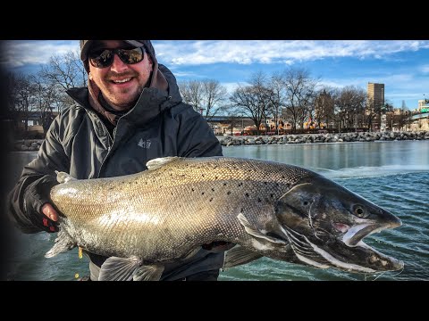 World Class Brown Trout - Open Water Ice Fishing Monster Fish