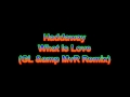Haddaway - What Is Love (GL &amp MvR Remix ...