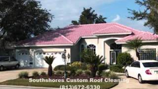 preview picture of video 'Fact About Roof Cleaning Tampa FL @www.dirtyroofs.us'