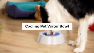 Chladicí miska na vodu pro domácí mazlíčky Freshty InnovaGoods
