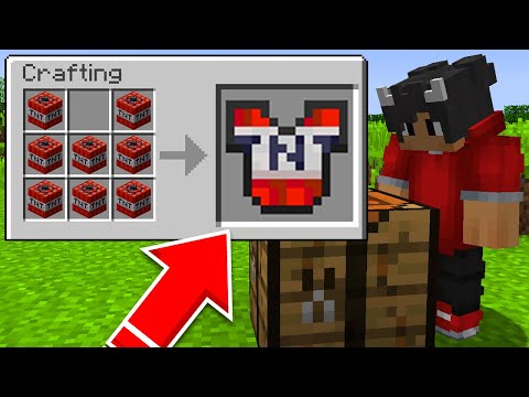 Jeg Kan Crafte Armor Ud Af ALLE BLOCKS I Minecraft?