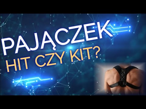 PAJĄCZEK - HIT CZY KIT?