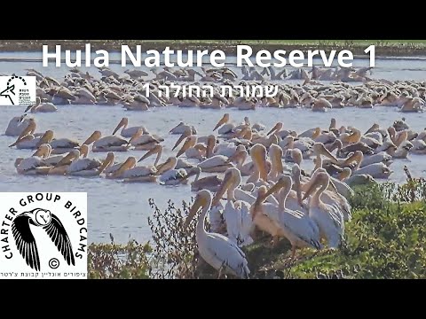 Hula Nature Reserve Cam1