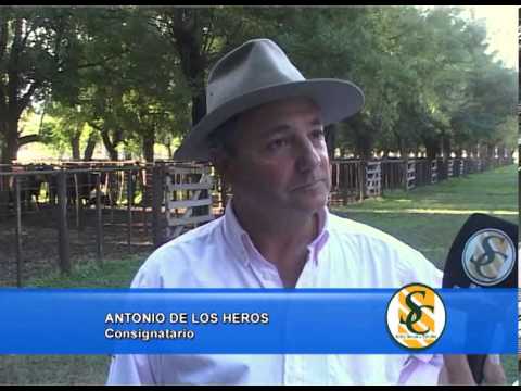 ANTONIO DE LOS HEROS - 18/04/2013 - Da -- Nes S.R.L. - Antonio de Los Heros - Tapalque