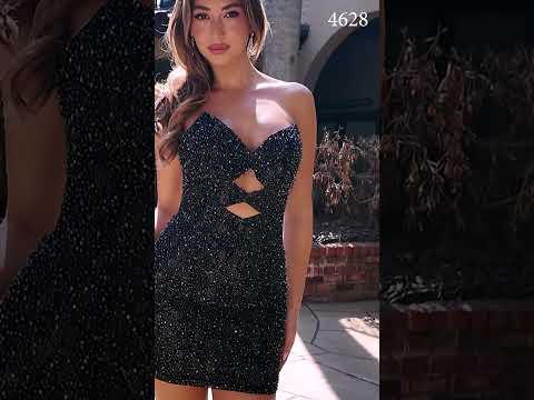 Primavera 4628