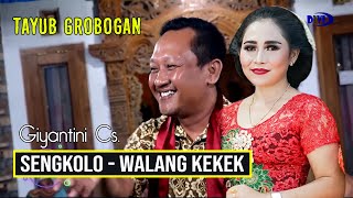 Download lagu SENGKOLO - WALANG KEKEK || GIYANTINI CS || SUKO LARAS || DWI PRODUCTION || ELISA mp3 Download lagu SENGKOLO - WALANG KEKEK || GIYANTINI CS || SUKO LARAS || DWI PRODUCTION || ELISA mp3