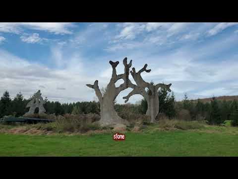 The Mysterious Story of The Screaming Heads in Burk’s Falls, Ontario