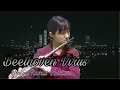 Beethoven Virus 베토벤 바이러스 Flute Cover By Stella Han