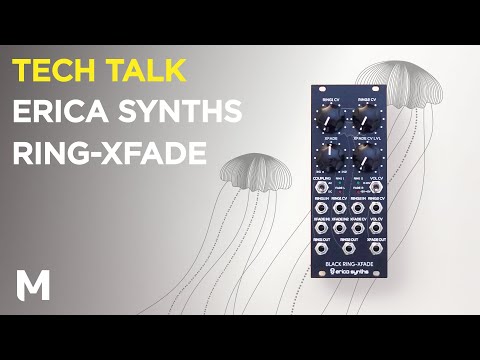 Erica Synths Black Ring - XFade 2021-present - Black image 3