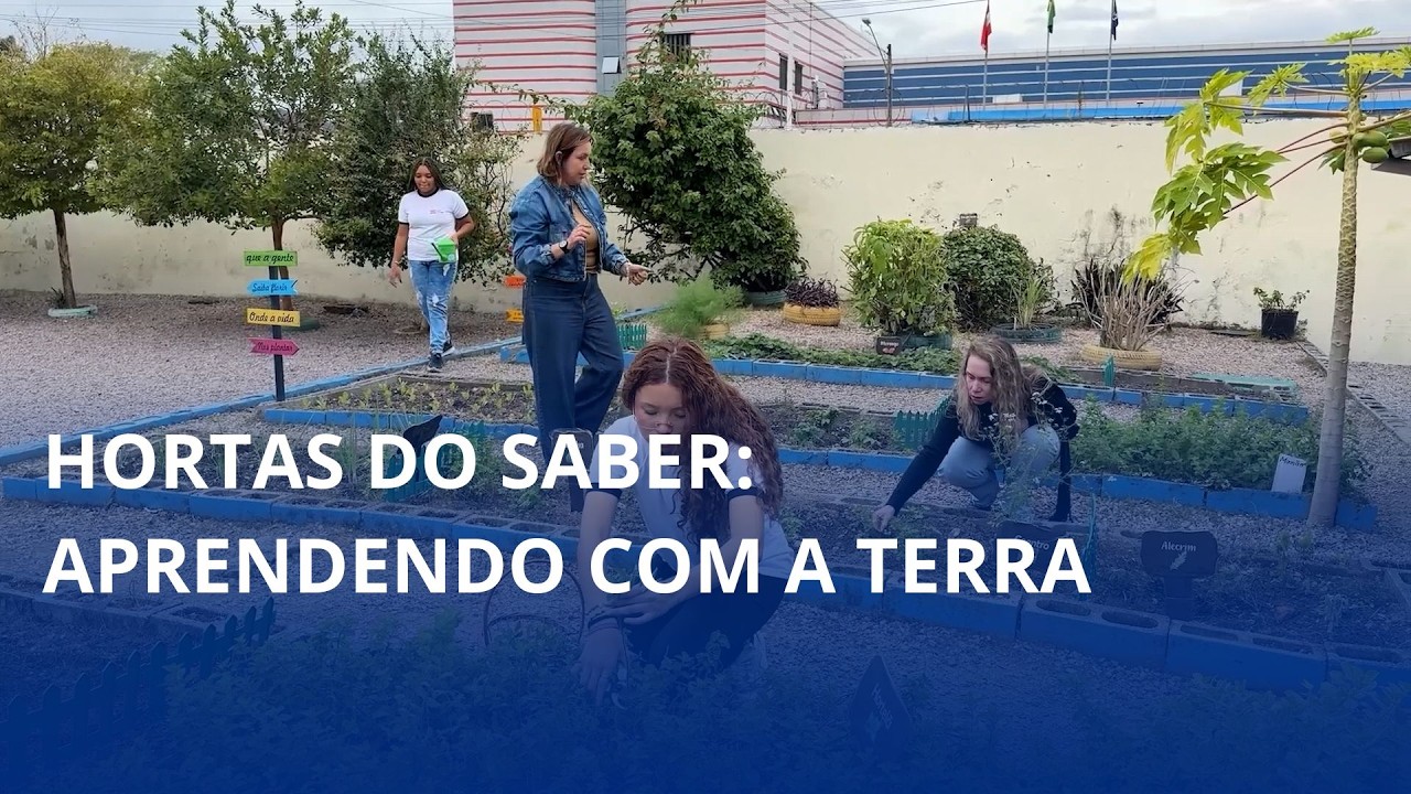 Hortas do Saber: aprendendo com a terra 🌿