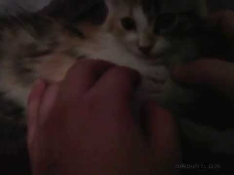 Intro to seci, and me.