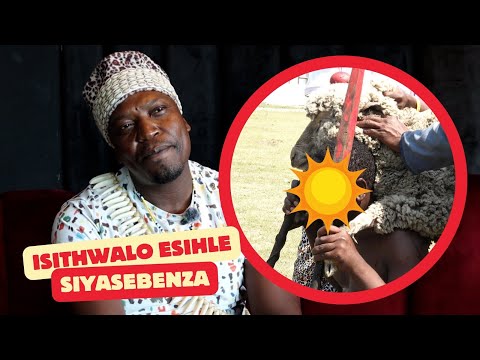 Abantu Abaningi Bathwele, Isithwalo Sihle Kakhulu uma Singanabungozi