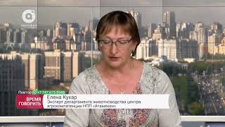 ООН: К 2025 г. спрос на продукты животного происхождения вырастет на 50%