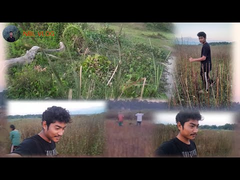 NBL VLOG #farming sibig hanw thangdwgmwn dwima serau
