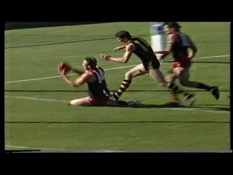 1986 Round 18 Glenelg 13.25 103 d West 10.8 68