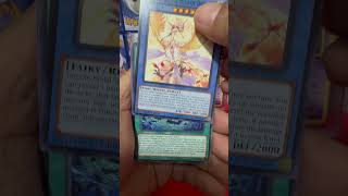 Did My Maximum Crisis Pack Bless Me… or Troll Me?!