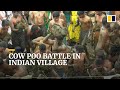 Massive Cow Dung Fight Marks End Of Diwali Festival In Indian Village