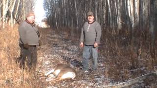 preview picture of video 'Father & Son Alberta Whitetail Hunt'