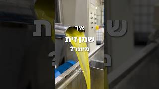 איך מייצרים שמן זית