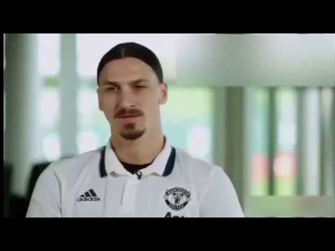 Zlatan Ibrahimovic ''Lions don't compare themselves with humans''