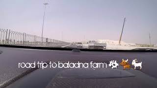 preview picture of video 'Road trip to Baladna Farm'