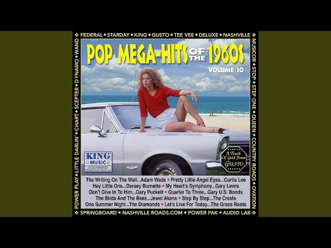 Pretty Little Angel Eyes