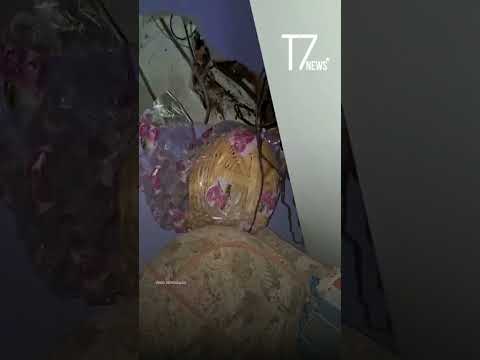 Natividade da Serra suspende aulas e prepara decreto de emergência após 340 mm de chuva