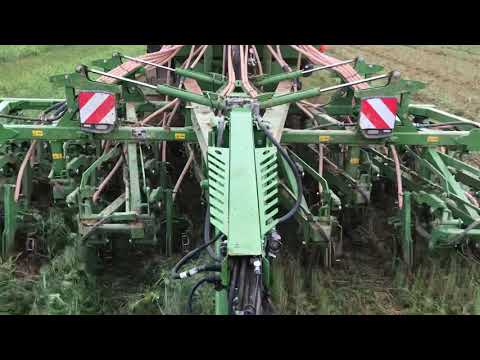 Primera DMC Direktsaat in eine Zwischenfrucht