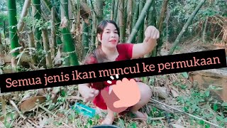 Download lagu MEMANG REZEKI❤️KEMUNCULAN IKAN PUTIH SISIK🎣 mp3