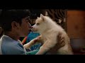 OH MY DOG Teaser (2022) New Tamil Movie