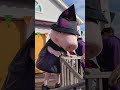 Peppa Pig Halloween Halloween Peppapigworld