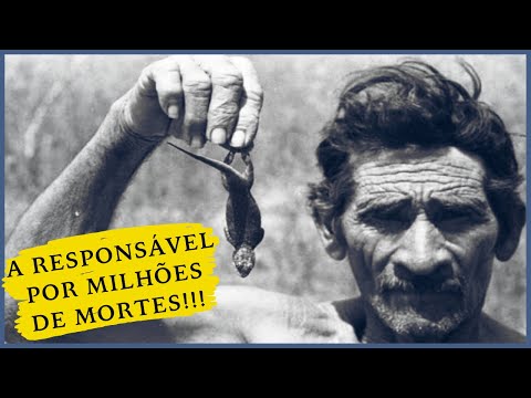 O QUE FOI A GRANDE SECA DE 1877 NO BRASIL | Historicamente