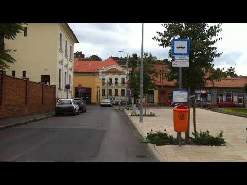 Budapest 251-es járat; Savoya Park - Kelenföld vasútállomás M