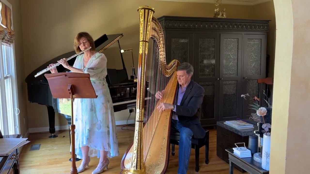 Promotional video thumbnail 3 for Suzanne Williams, Flutist (classical, Irish, jazz)