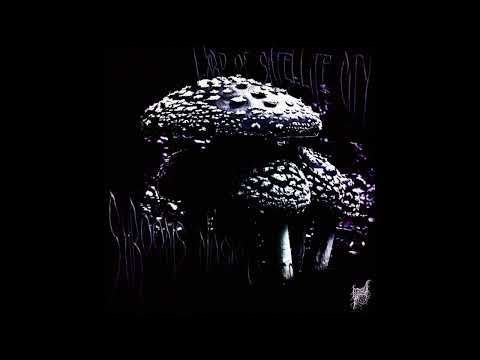 {FREE} Hydra Mane x Tenngage type beat - ,,Shrooms Magic"