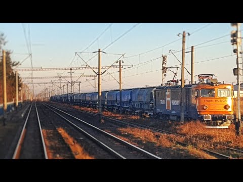Back-view Lețcani-Sârca: un marfar & bătăi de joante/freight train & rail joints | 28.11.2021