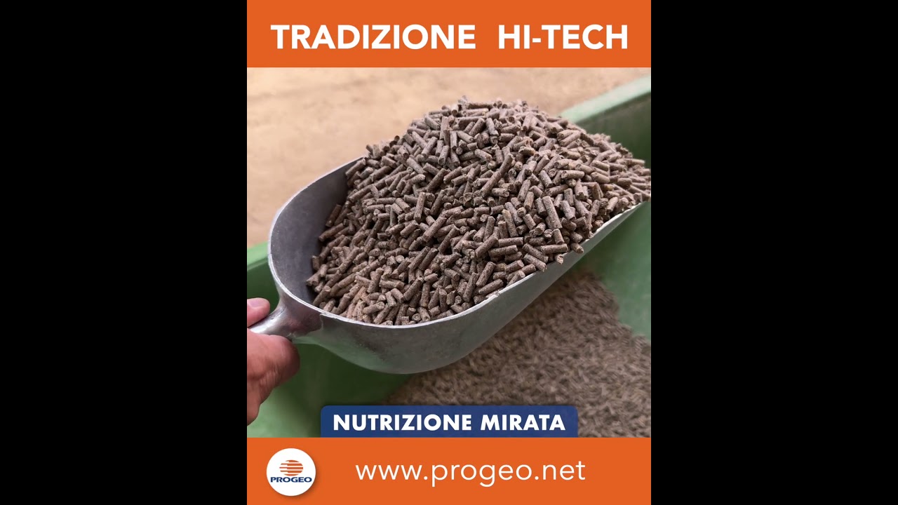 Fattoria IL MULINO LA COLLINA Societ Agricola  Toano...