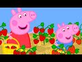 Peppa Pig And George Visit The Strawberry Farm Together Adventures With Peppa Pig