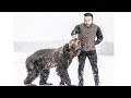 wann eröffnet KONTRA K seinen eigenen Zoo? | Kontra K - Warnung | MEINE REAKTION wann eröffnet KONTRA K seinen eigenen Zoo? | Kontra K - Warnung | MEINE REAKTION