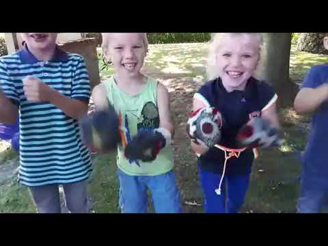 Filmpje OBS Noord Borculo 10@10 Challenge