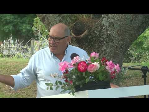 Alejandro Schoderle | “Rosa Duarte de Oliveira”, Flor de Colonia Valdense