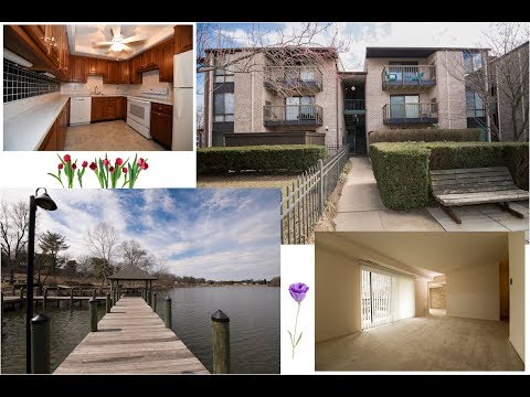 10020 Stedwick 203 - Montgomery Village -  4k Video Tour
