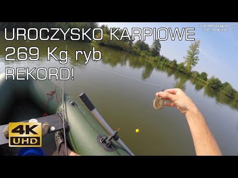 Zasiadka karpiowa - Uroczysko karpiowe 269 Kg!!!...