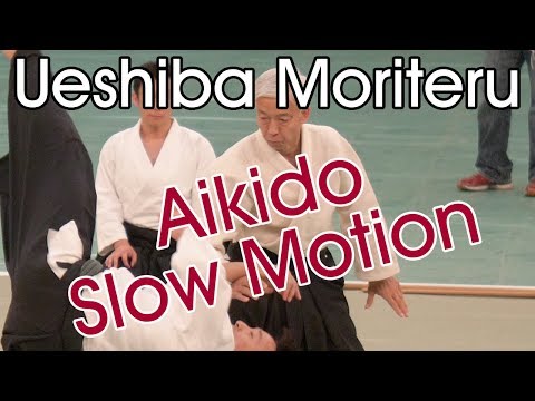 Ueshiba Moriteru Doshu - Dynamic Aikikai Aikido in Slow Motion - 2018 All Japan Aikido