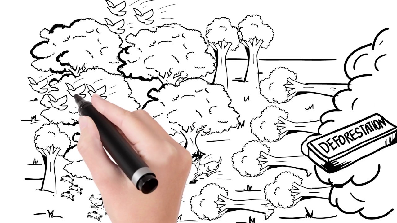 Putar video Apa Itu Berpikir Konseptual sekarang Apa Itu Berpikir Konseptual