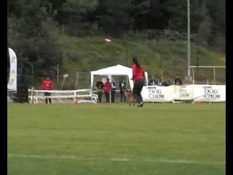 Sabine Bruns @ Crazy - Dogfrisbee EC 2008