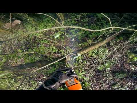 13# Wyjazd alarmowy... Powalone drzewo [OSP Pobiedziska]