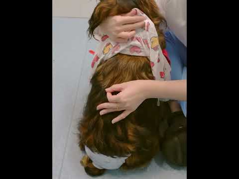 The famous scene of Zhu Yu Gua Sha is recreated. I m so hooked on the TV series that I